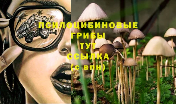 каннабис Пестово