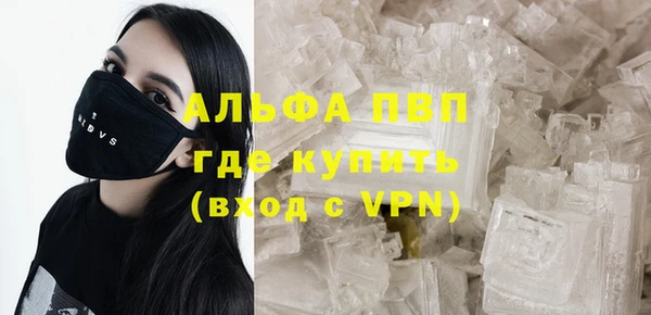 прущие крисы Пересвет