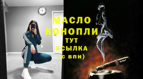 прущие крисы Пересвет