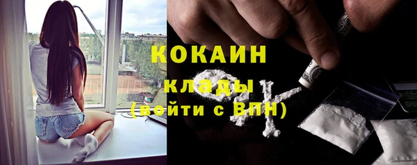 прущие крисы Пересвет