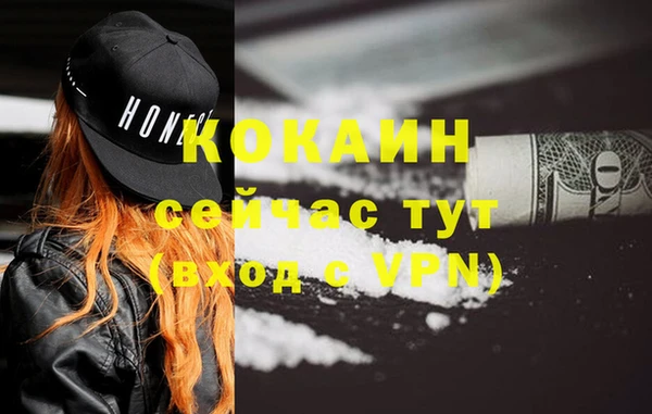 прущие крисы Пересвет