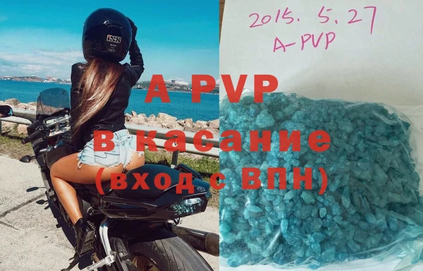 прущие крисы Пересвет