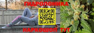бошки Гагарин