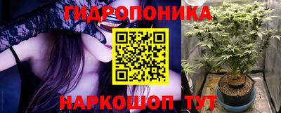бошки Гагарин