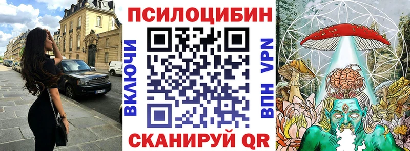 Псилоцибиновые грибы Cubensis  Великие Луки 