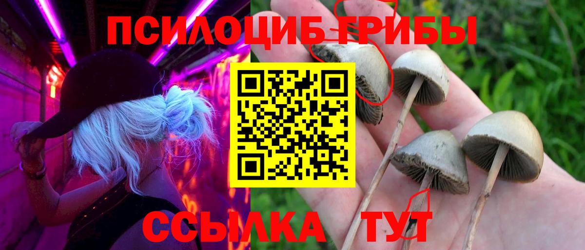 Меф мяу мяу Великие Луки