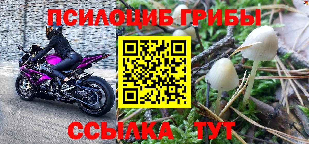 Галлюциногенные грибы ЛСД  наркота  Великие Луки 