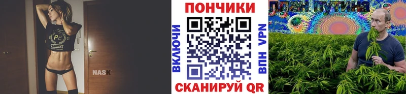 кракен онион  Великие Луки  Каннабис планчик 